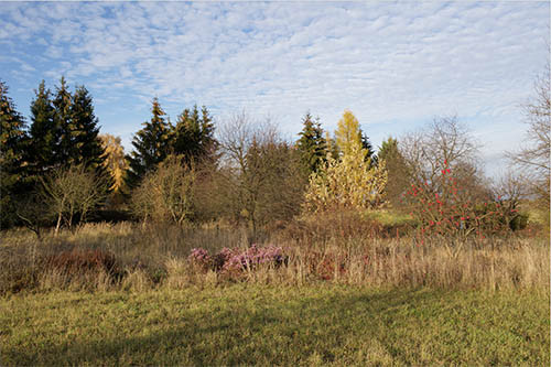 Herbstlandschaft Uckermark